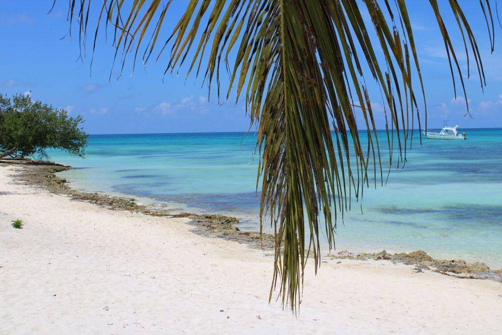 Saona Island (unsplash.com/Rachid Oucharia)