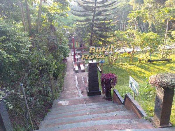 Bukit Flora (google.com/maps/venom neo)