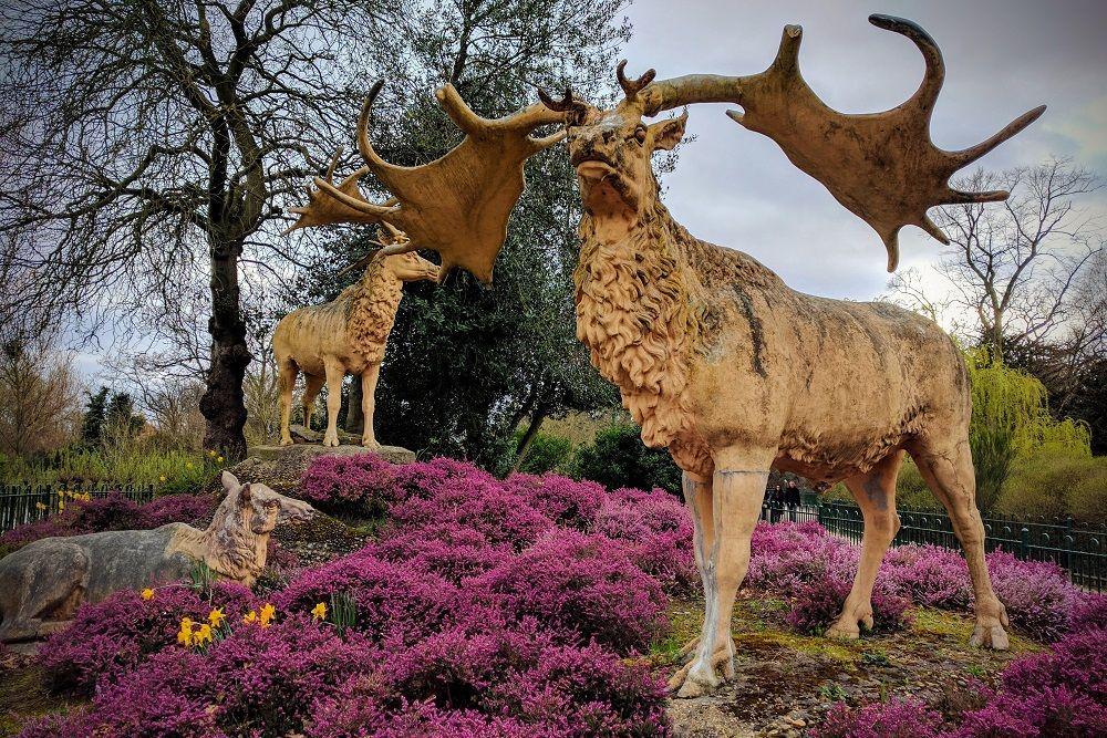 Mengenal Irish Elk, Spesies Rusa Terbesar yang Pernah Ada | IDN Times