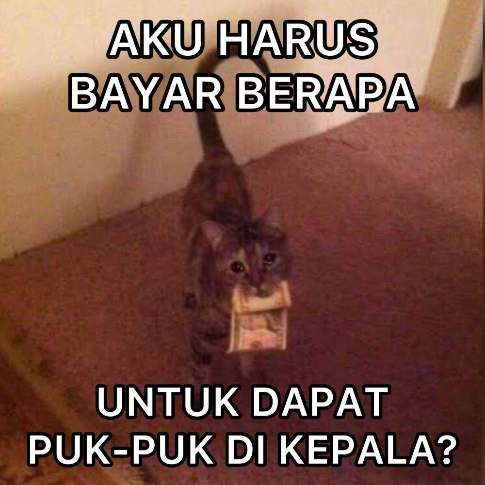 meme kucing tengil (twitter.com/fanasaur)
