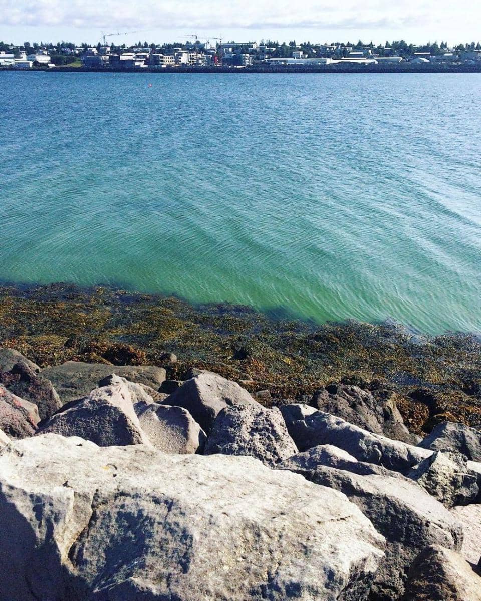 Nautholsvik Beach (instagram.com/cardiograms)