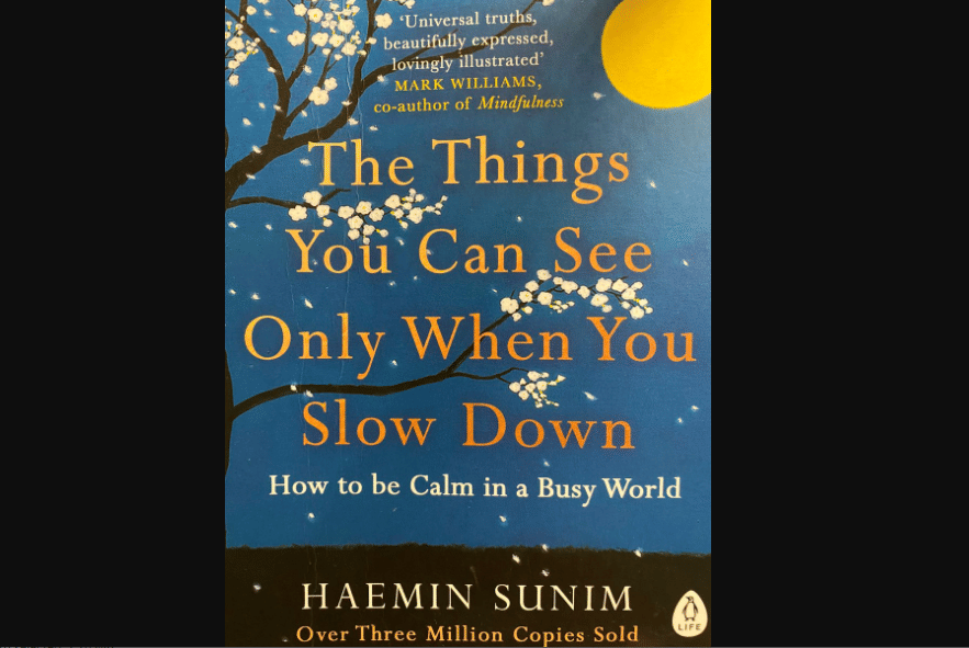 Buku The Things You Can See Only When You Slow Down (Dok. Pribadi/ Silvilla Sani)