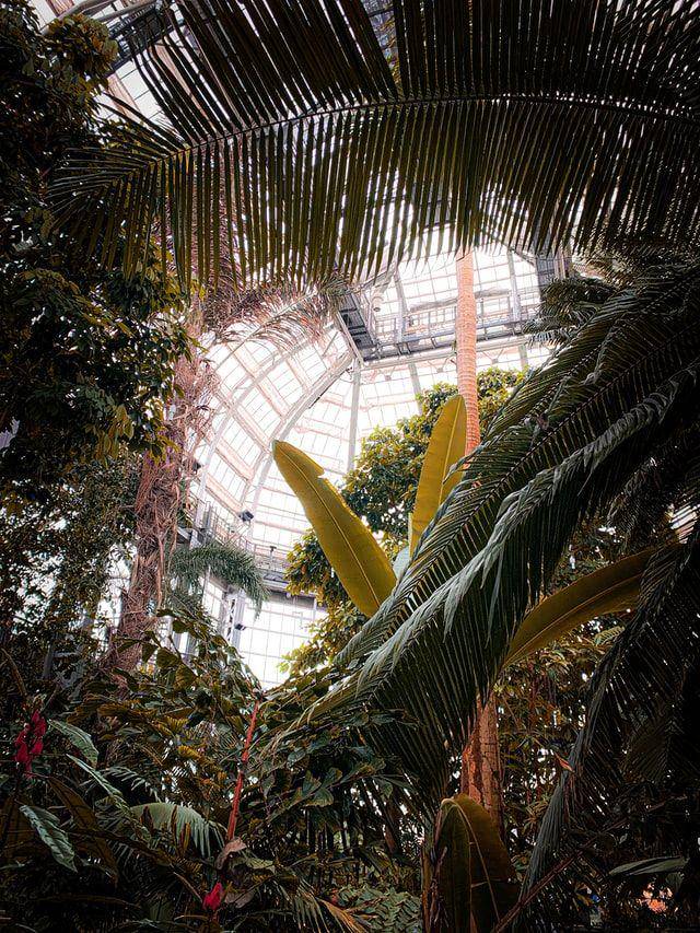 United States Botanic Garden (unsplash.com/elliot lanham)