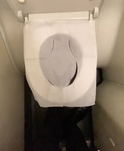 Ilustrasi toilet sheet paper (tiktok.com/masmasudara)