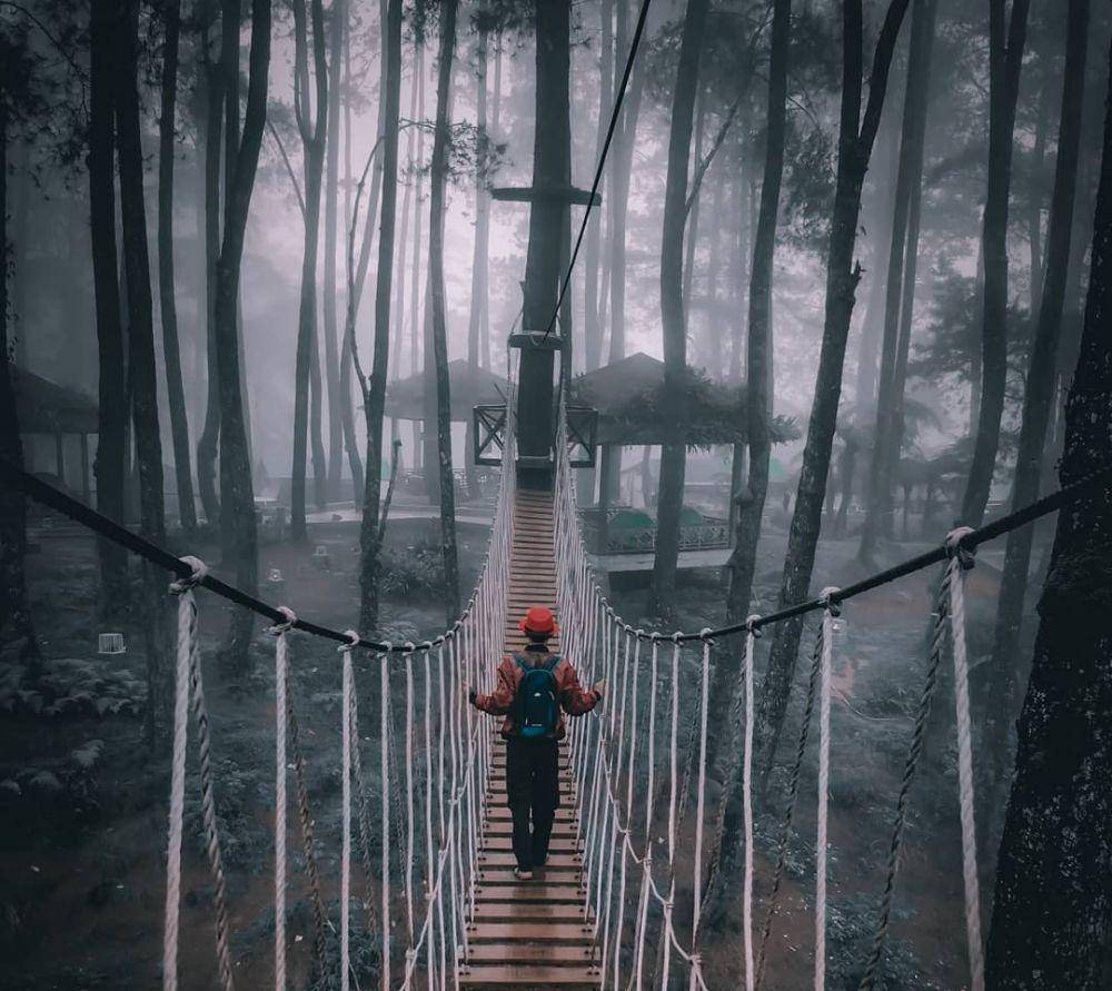 Pango Pango (instagram.com/par_dhy11)