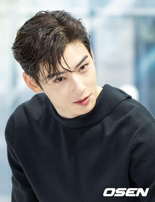 Cha Eun Woo di event DIOR Men's 2022 Winter Collection. (Osen.kr)