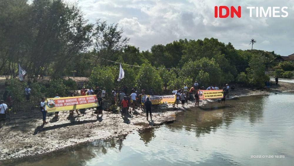 Desa Adat Intaran Sanur Tanam 700 Bibit Mangrove, Sentil Pemerintah?