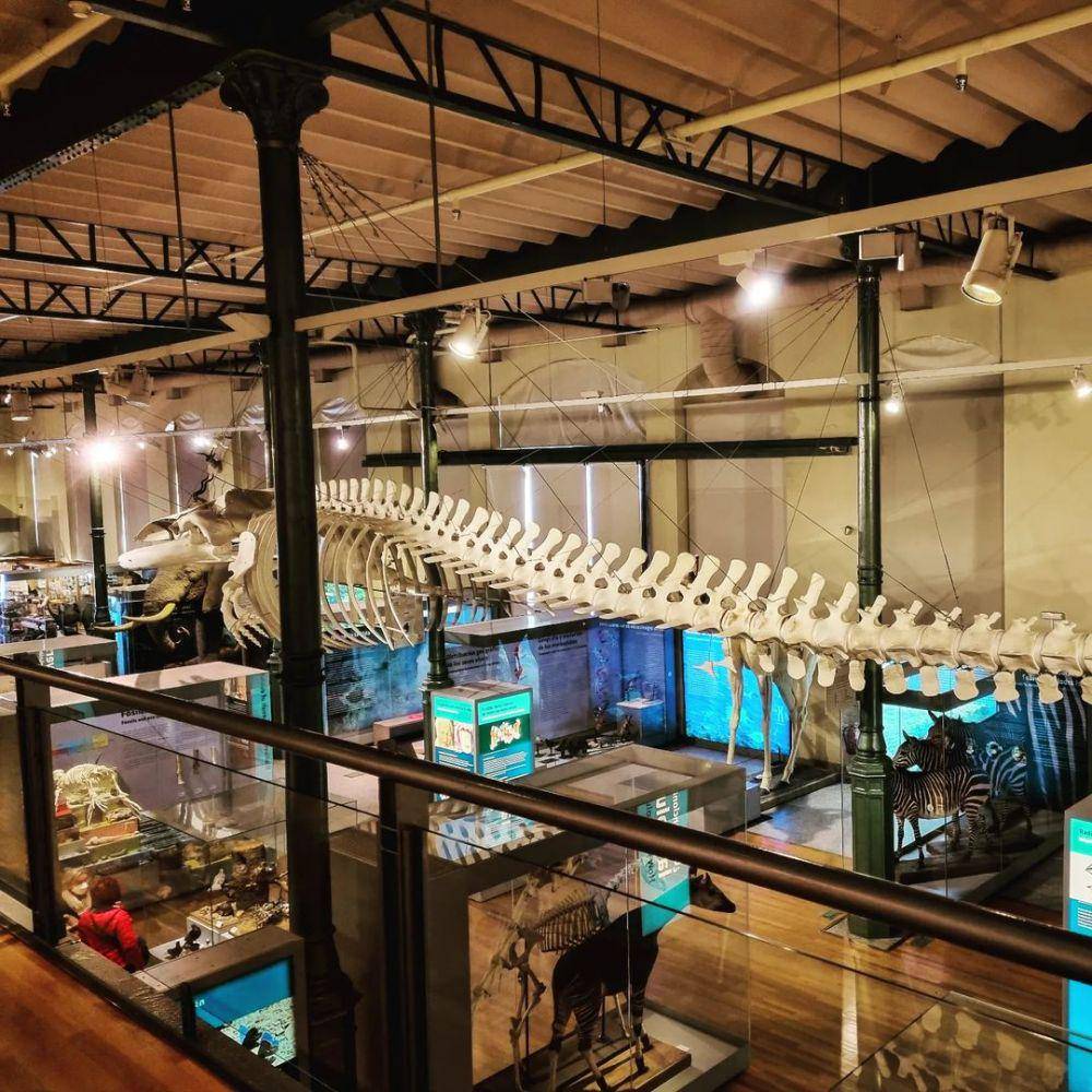 Museo Nacional de Ciencias Naturales (instagram.com/guide.paradise)