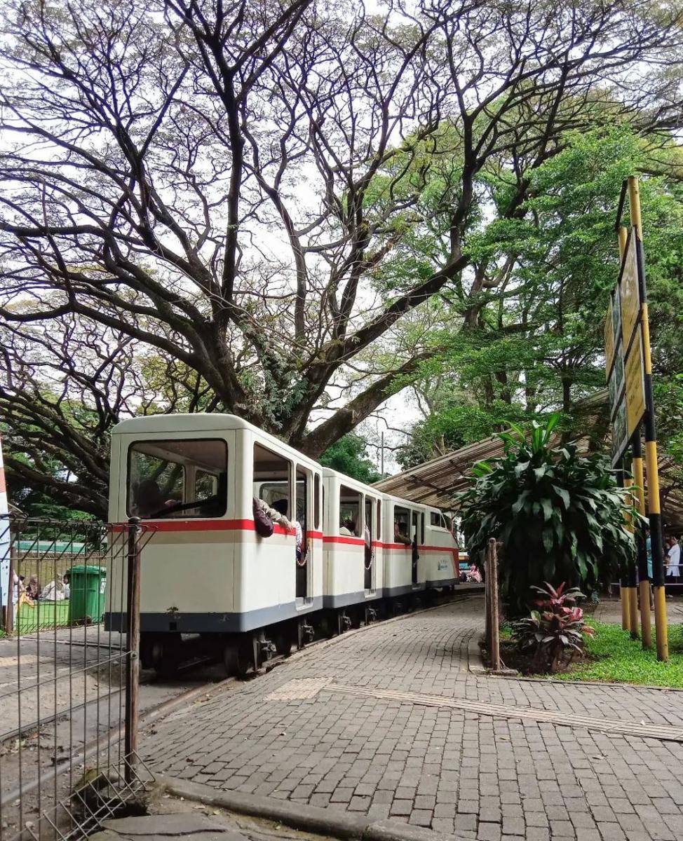 Taman Lalu Lintas Ade Irma Suryani Nasution (instagram.com/dianifitra96)