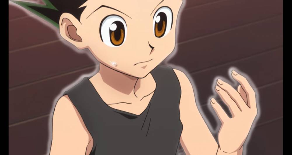 dok. Nippon Animation/ Hunter x Hunter