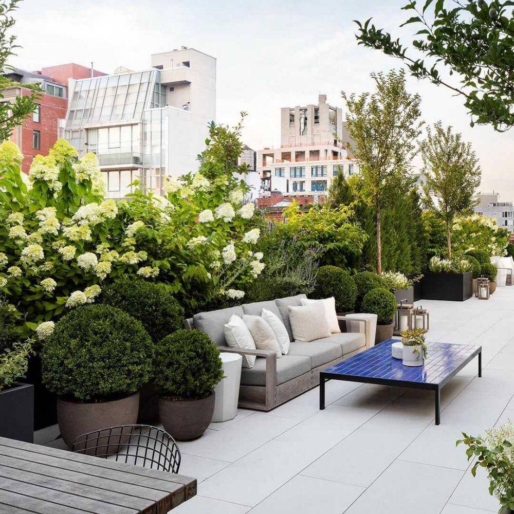 ilustrasi rooftop garden (instagram.com/harrisongreennyc)