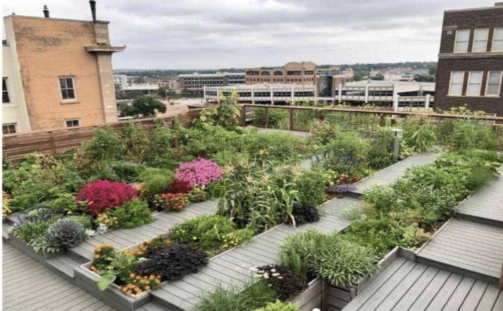 ilustrasi rooftop garden ala kebun (neavemgmt.com)