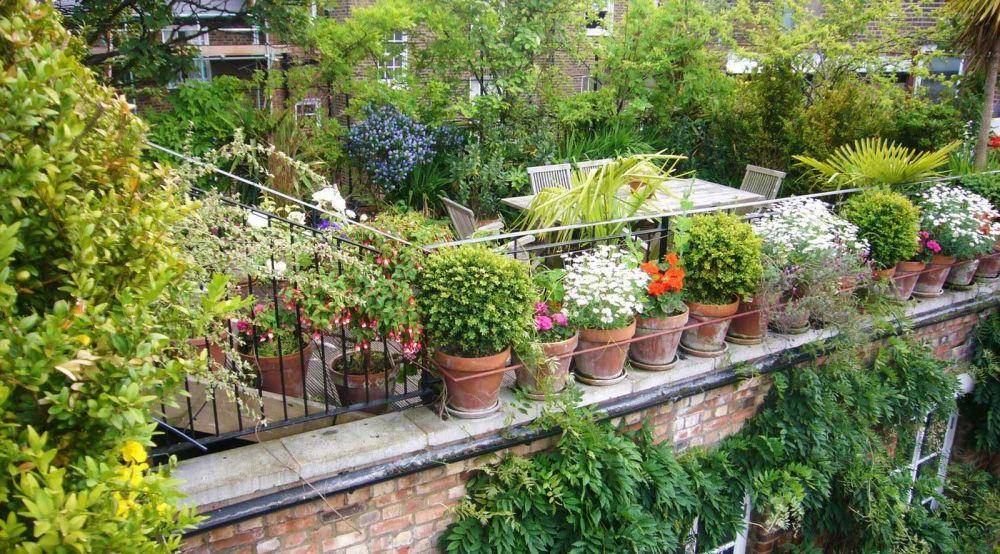 ilustrasi rooftop garden dengan bunga (faburous.com)