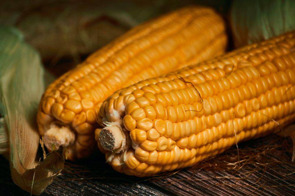 ilustrasi jagung (pexels.com/Marjhan Ramboyong)