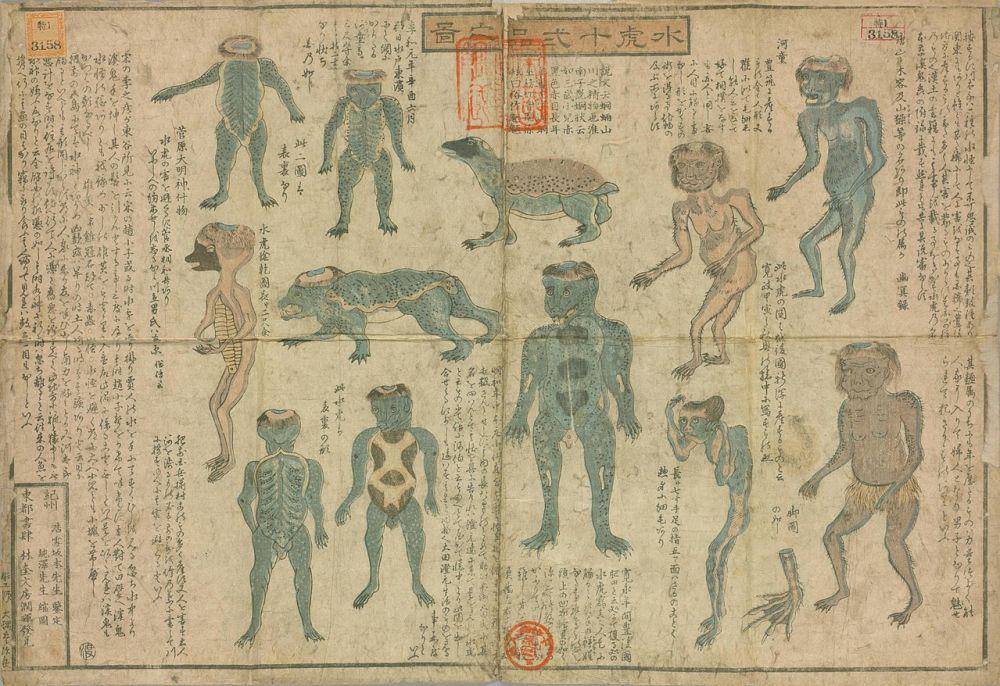 ilustrasi berbagai jenis kappa (commons.wikimedia.org/Juntaku)