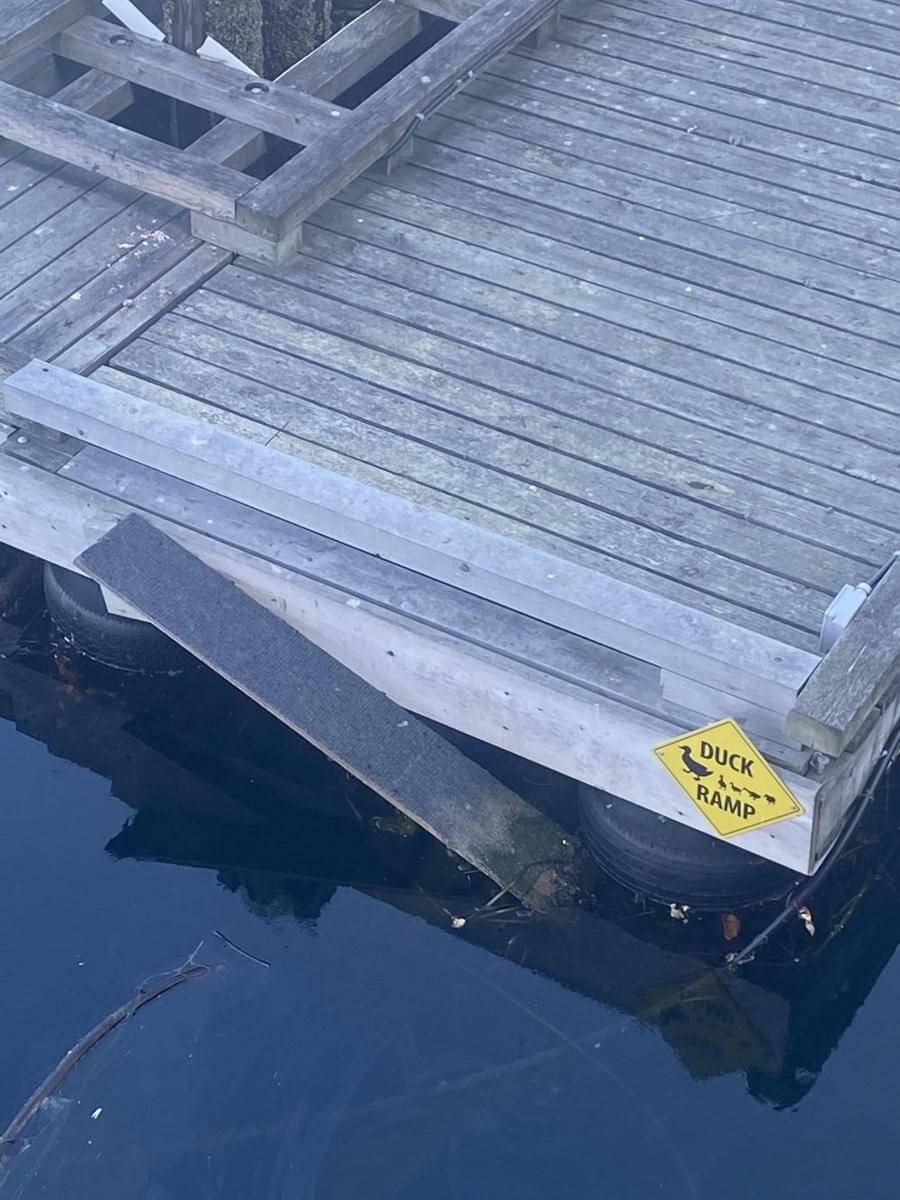 potret hal unik dari berbagai negara (reddit.com/user/CliftAdventures)