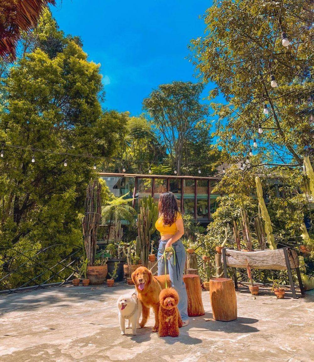 Congo Gallery & Cafe, Bandung (instagram.com/yulianticalgiary)