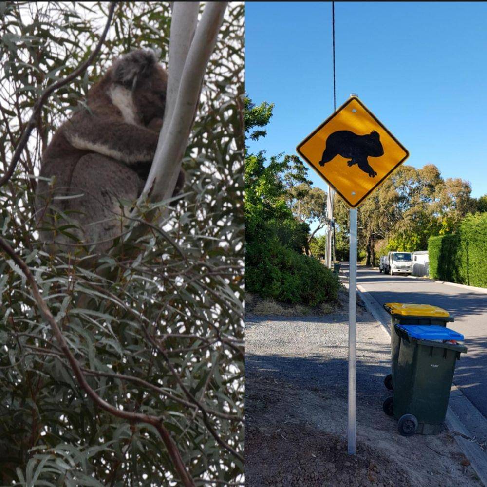 potret hal unik dari berbagai negara (reddit.com/user/timtowiebcnr33)