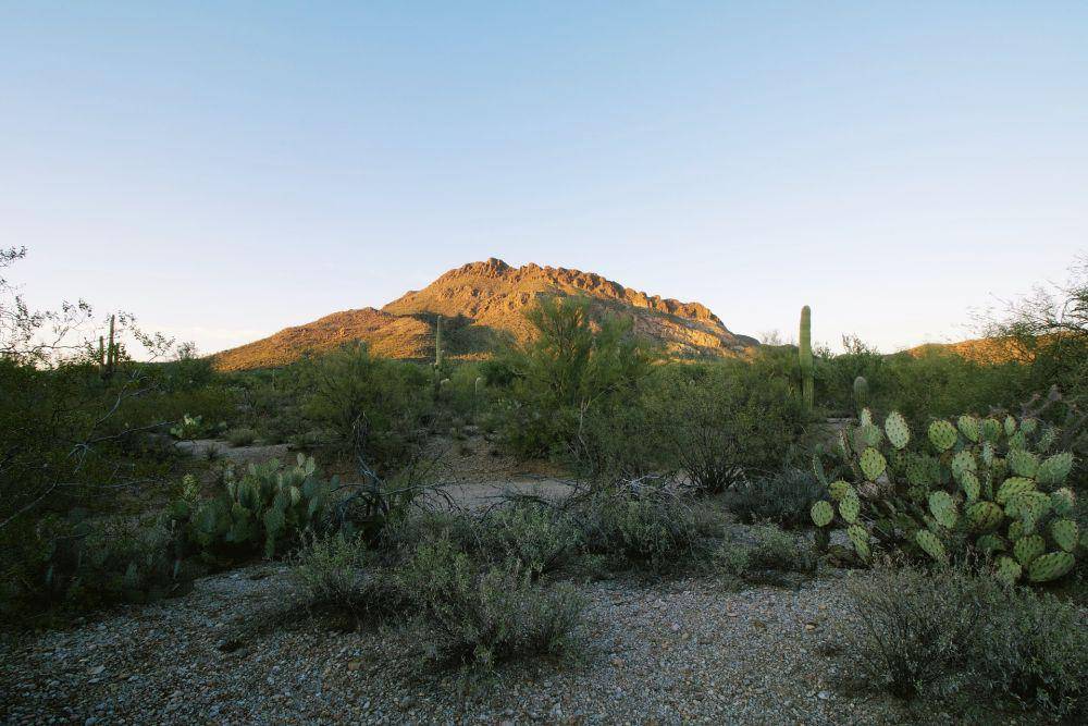 Taman Nasional Saguaro (pixabay.com/picsbyjameslee)