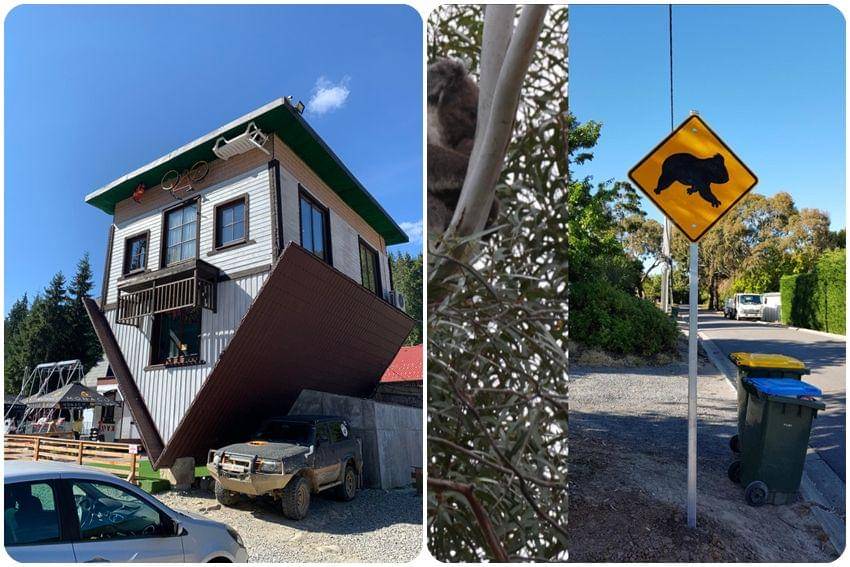 kolase potret hal unik dari berbagai negara (reddit.com/user/notanalien000 | reddit.com/user/timtowiebcnr33)