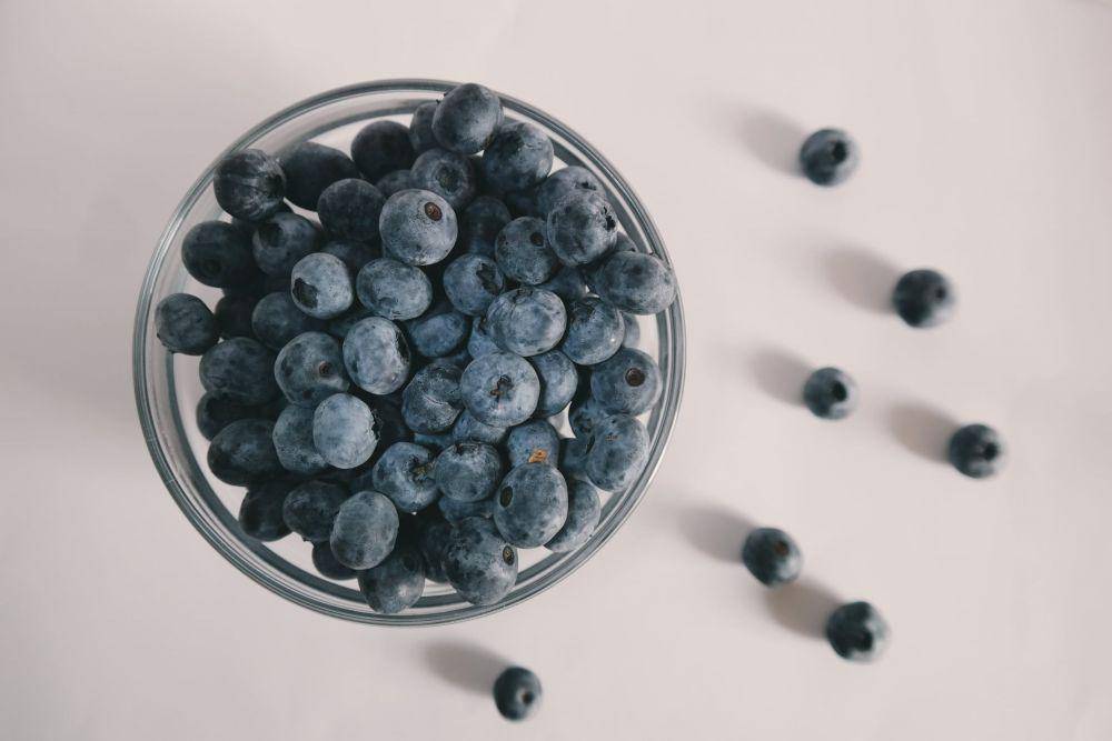 Ilustrasi blueberry bahan kue (pexels.com/id-id/@brigitte-tohm-36757/)