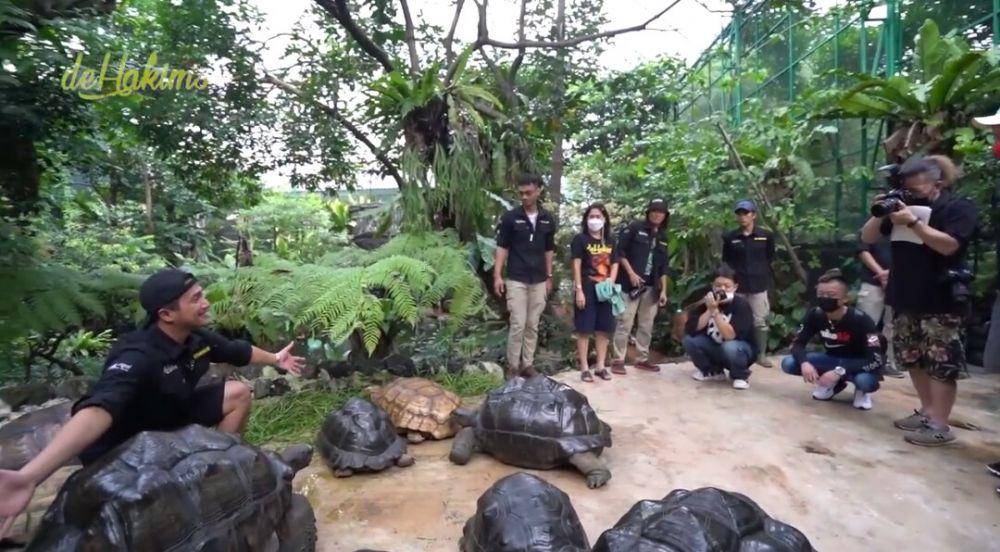 potret Aviary Irfan Hakim disorot Jepang (youtube.com/deHakims Aviary)