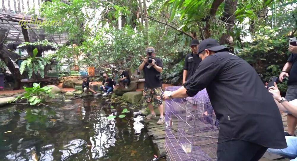 potret Aviary Irfan Hakim disorot Jepang (youtube.com/deHakims Aviary)