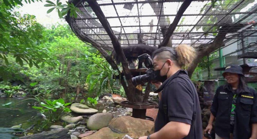 potret Aviary Irfan Hakim disorot Jepang (youtube.com/deHakims Aviary)