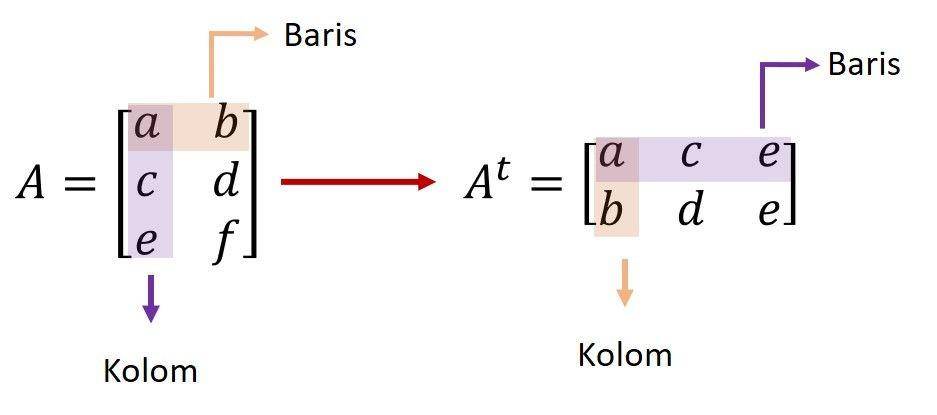transpose matriks
