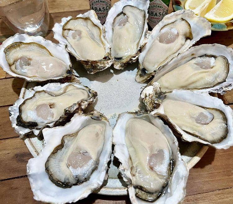 hau (instagram.com/nahoystergram)