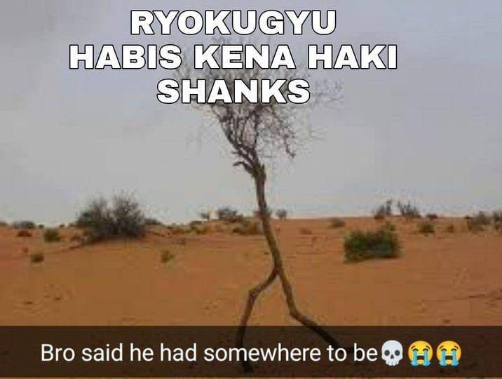 Aramaki langsung jadi pohon kering begitu tahu ada Shanks ( Dok. facebook.com/Fachrul Razi)