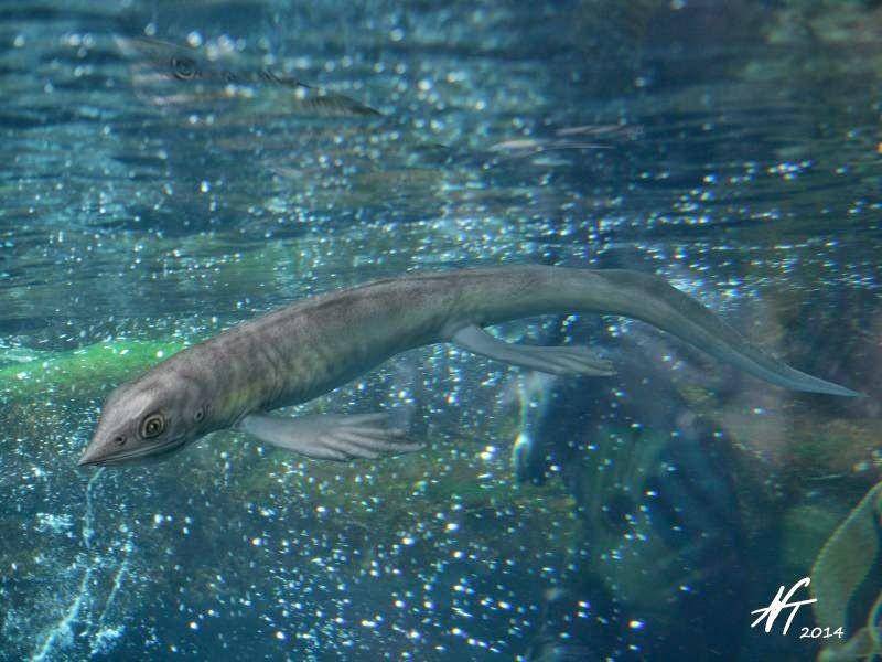 rekonstruksi Cartorhynchus (commons.wikimedia.org)