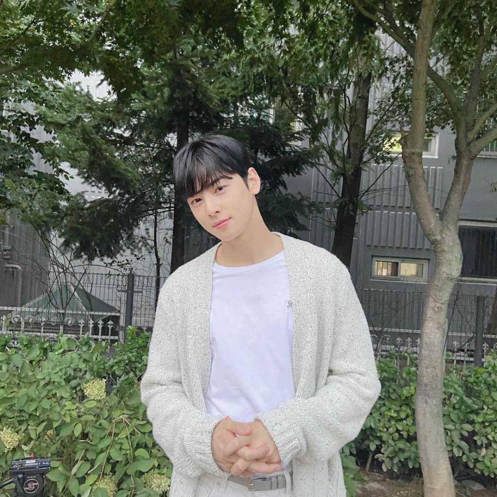 Cha Eun Woo (instagram.com/eunwo.o_c)