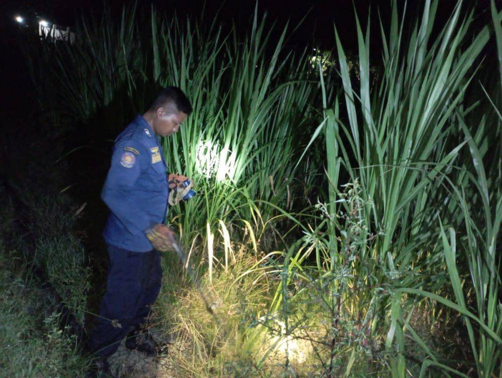 Petugas damkar Kabupaten Bojonegoro saat mencari keberadaan ular piton yang menyerang warga. Dok Damkar Bojonegoro