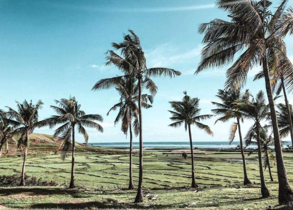 Pantai Marosi (instagram.com/thesanubari)