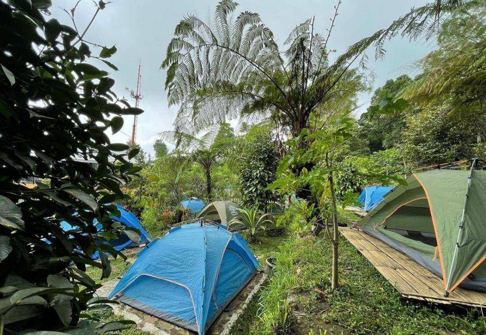 Lembah Pinus Camp and Cafe (instagram.com/lembahpinus.id)