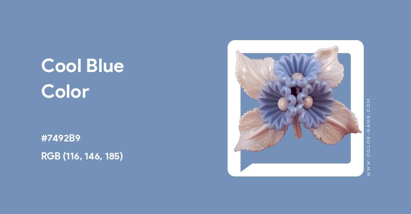 Ilustrasi Cool Blue (color-name.com/cool-blue.color)