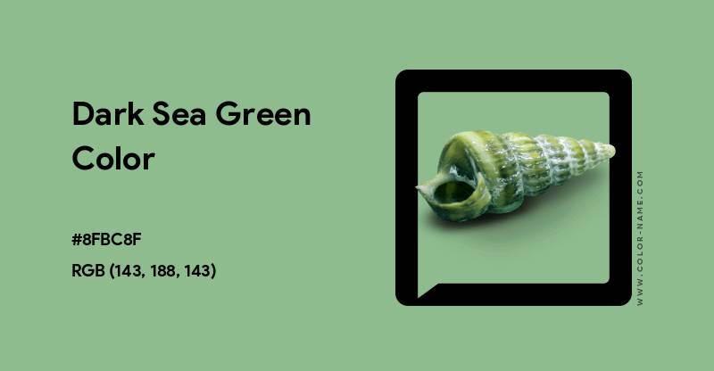 Ilustrasi Dark Sea Green (color-name.com/dark-gray.color)