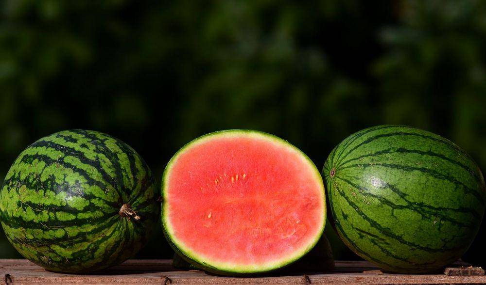 potret buah semangka (pixabay.com/ulleo)