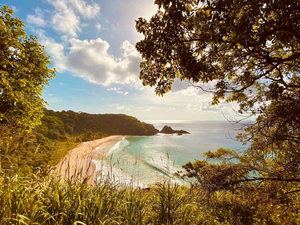 Fernando de Noronha (unsplash.com/RODOLFO BARRETO)