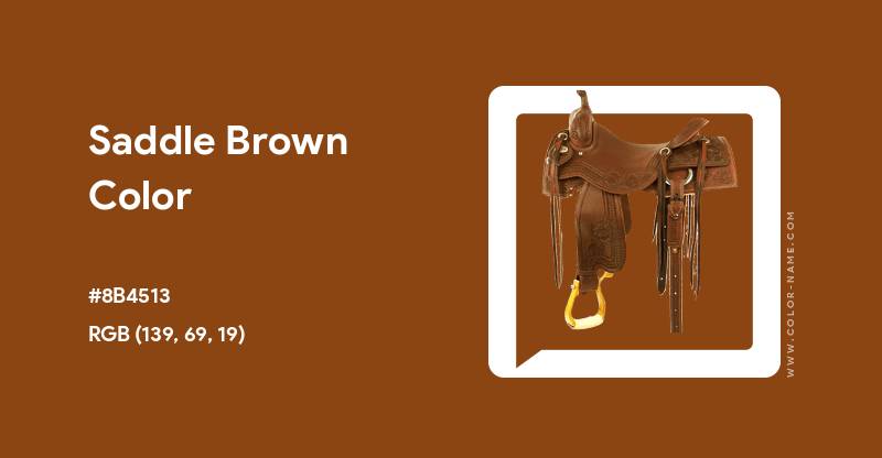 Ilustrasi Saddle Brown (color-name.com/saddle-brown.color)