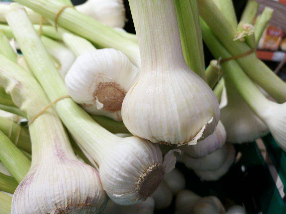 bawang putih (pexels.com/enginakyurt)