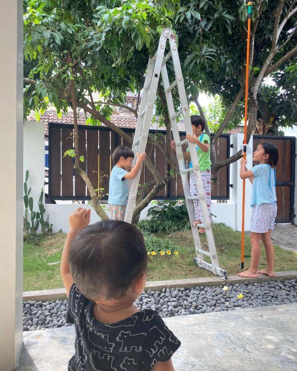 anak - anak Zaskia memanen mangga (instagram.com/zaskiaadyamecca)