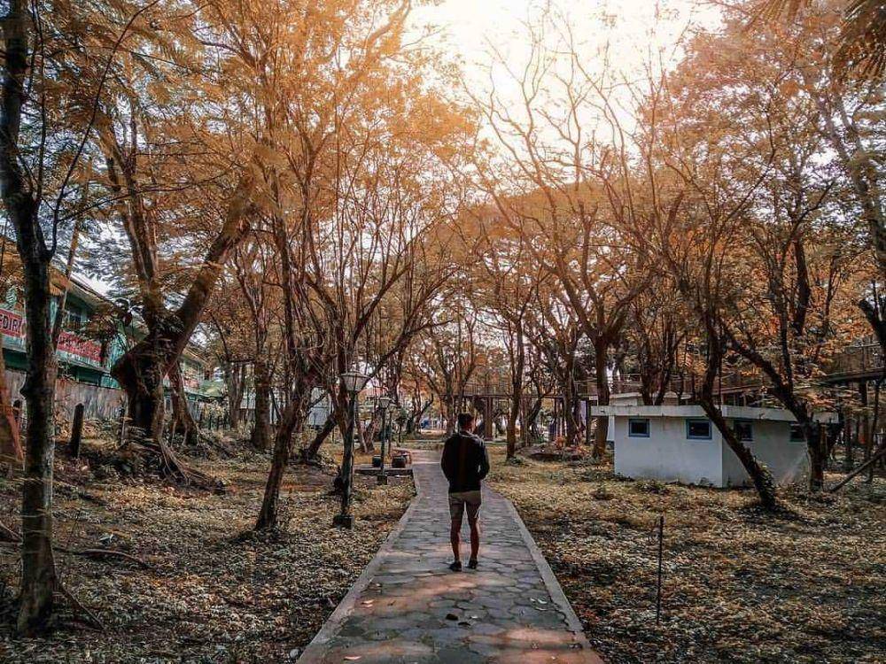 potret Hutan Joyoboyo (instagram.com/explorekediri)