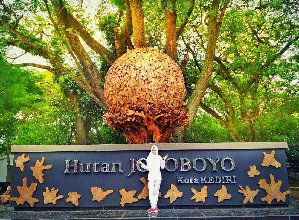 potret Hutan Joyoboyo (instagram.com/kediriistimewa)