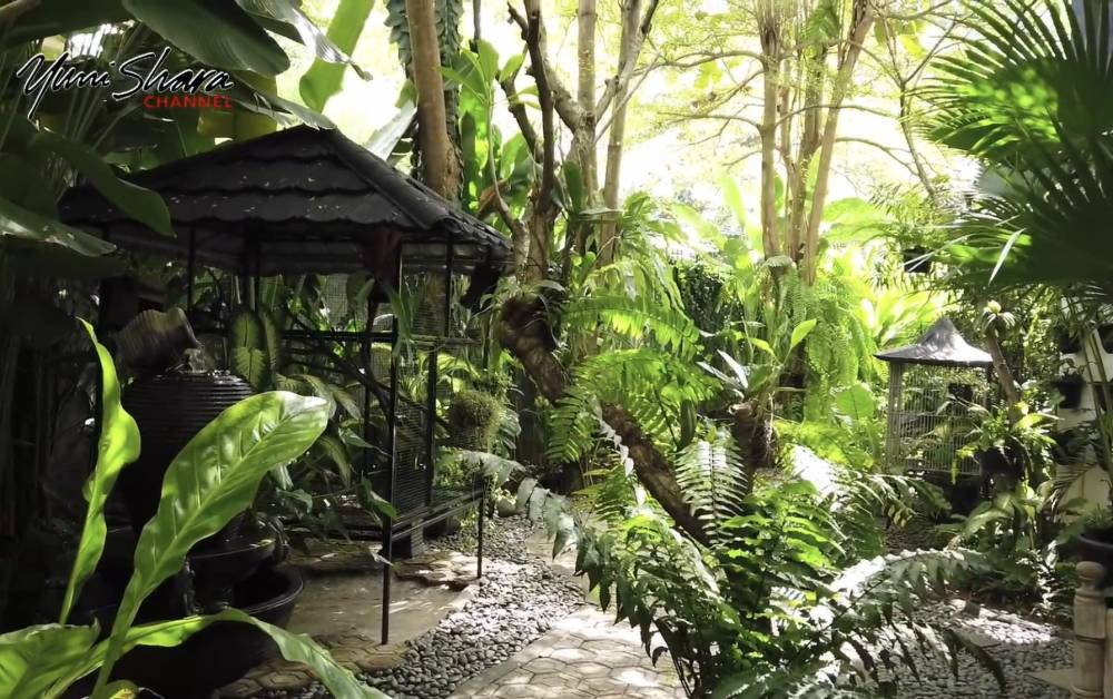 potret rumah Yuni Shara yang penuh dengan tanaman (youtube.com/YuniSharaChannel)