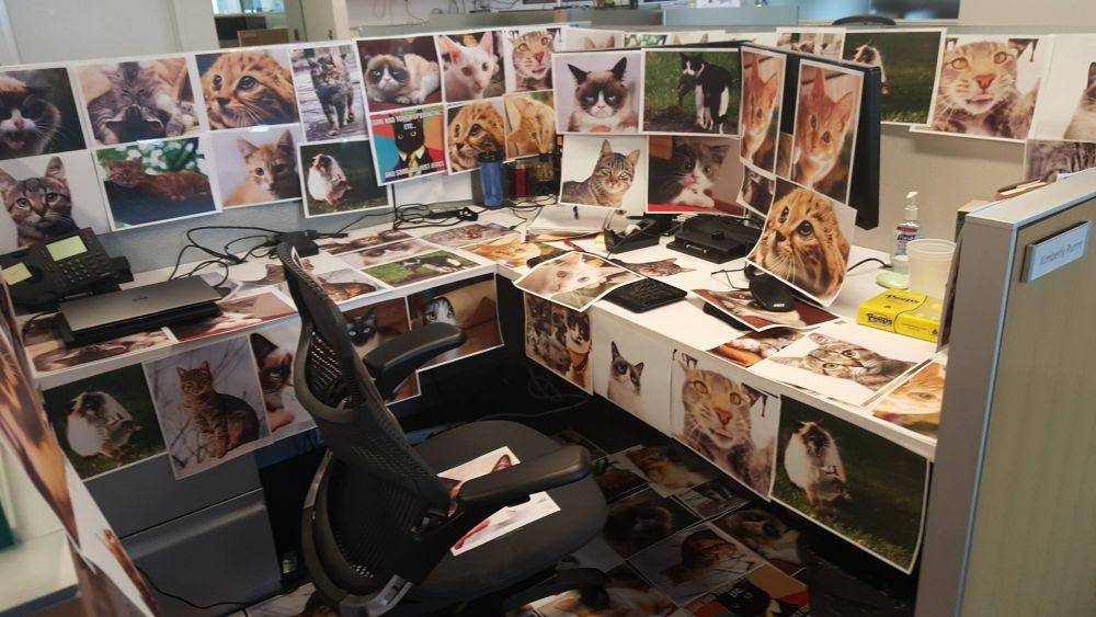 potret kelakuan aneh teman kantor (imgur.com/user/BenAndrus)