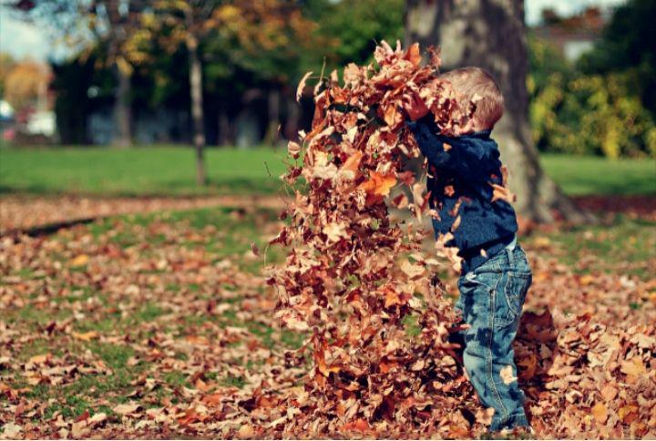 ilustrasi anak bermain dengan daun (pexels.com/Scott Webb)