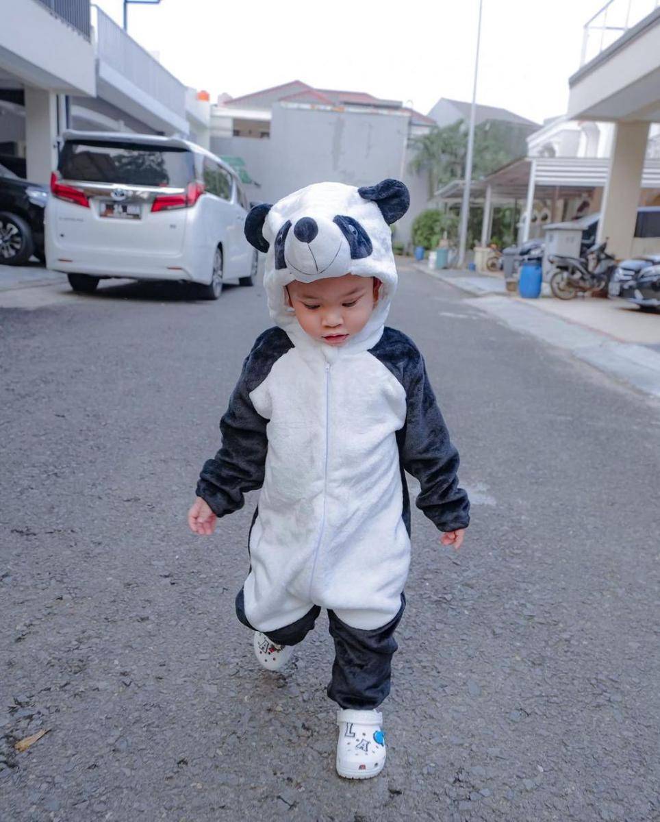 potret Gala pakai kostum panda (instagram.com/fuji_an)