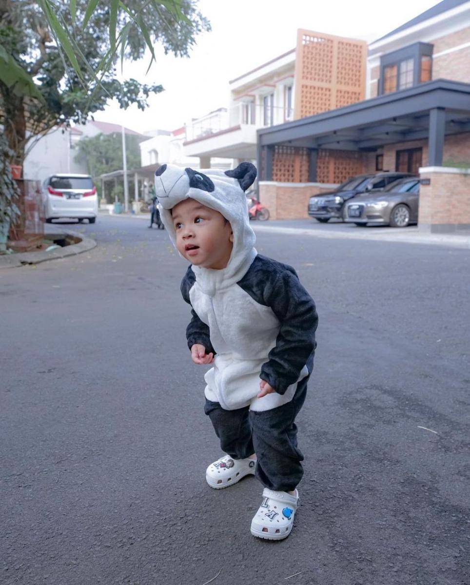 potret Gala pakai kostum panda (instagram.com/fuji_an)